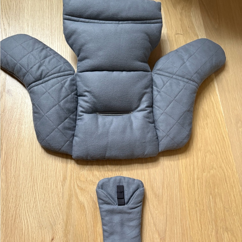 Nuna pipa infant insert NWOT